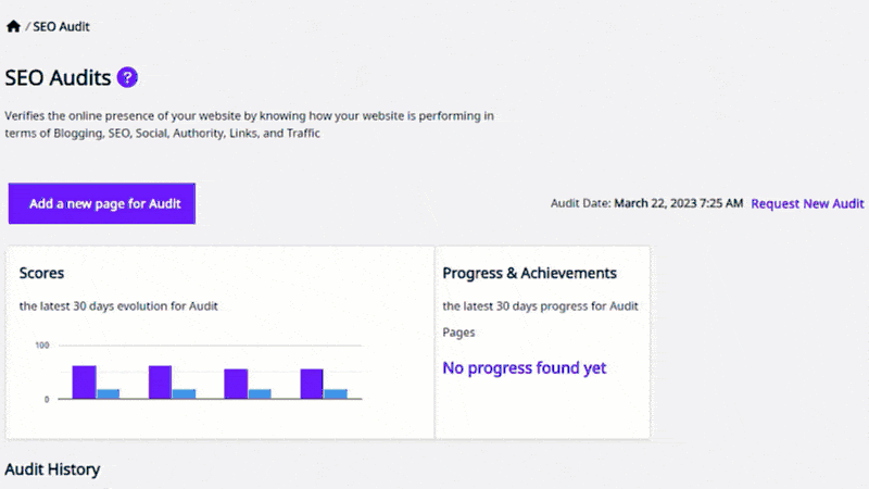 SEO Plugin Audit and SERP Ranking Reporting
